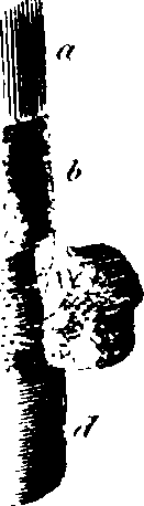 088/088880010101160_1.png