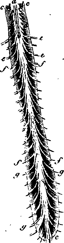 088/088880010101160_2.png