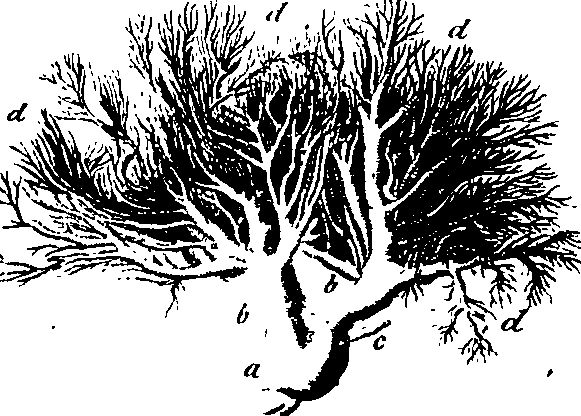 088/088880010101160_3.png