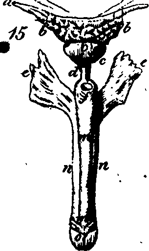 088/088880010101200_0.png