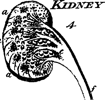 088/088880010101200_2.png