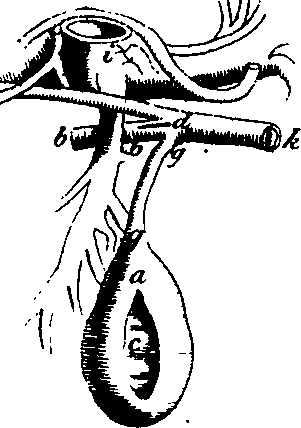 088/088880010101200_3.png