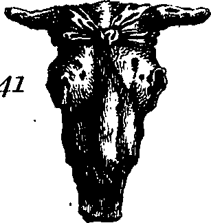 088/088880010101810_1.png