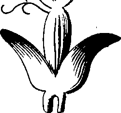 088/088880010104030_0.png