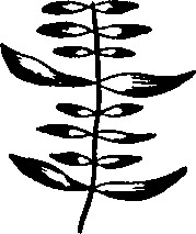 088/088880010104030_1.png
