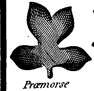 088/088880010104030_10.png