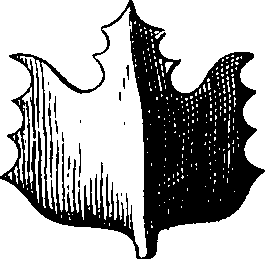 088/088880010104030_11.png