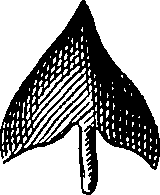 088/088880010104030_12.png