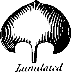 088/088880010104030_13.png
