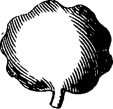 088/088880010104030_16.png