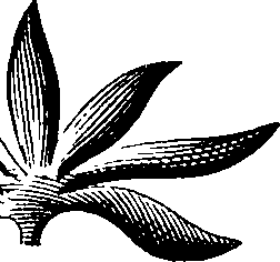088/088880010104030_2.png