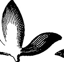 088/088880010104030_3.png