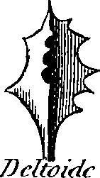 088/088880010104030_4.png