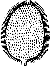 088/088880010104030_5.png