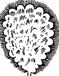 088/088880010104030_6.png