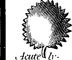 088/088880010104030_7.png