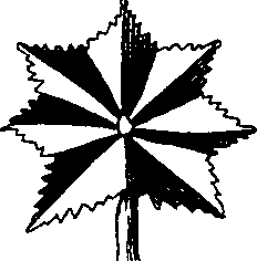 088/088880010104030_8.png