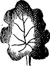 088/088880010104030_9.png