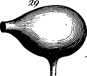 088/088880010105360_0.png