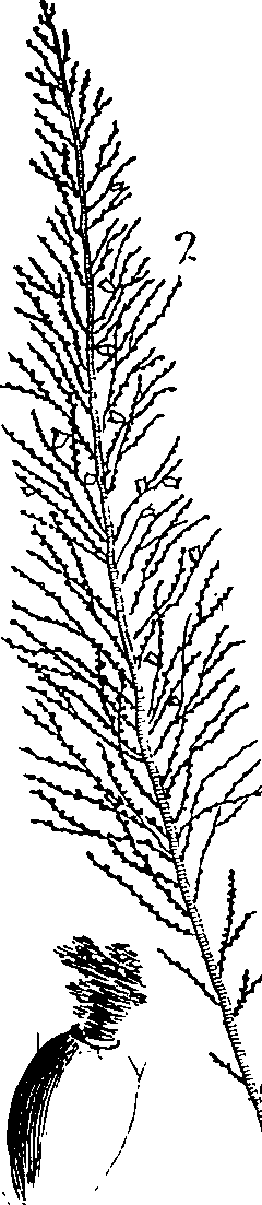 088/088880010106350_2.png