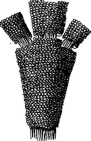 088/088880010106360_0.png