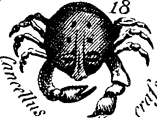 088/088880010106690_0.png