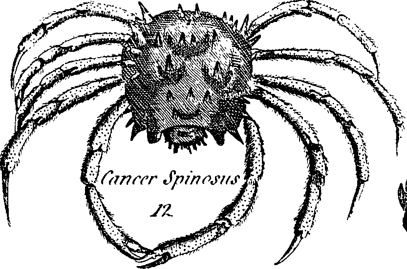 088/088880010106690_2.png