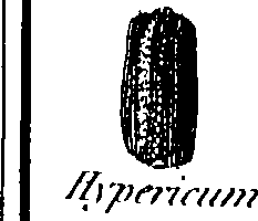 088/088880010202340_0.png