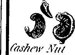 088/088880010202340_1.png