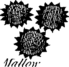 088/088880010202340_2.png