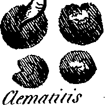 088/088880010202340_3.png