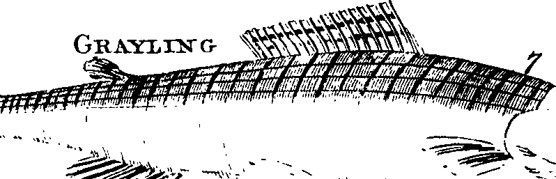 088/088880010202480_1.png