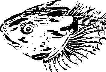 088/088880010202480_2.png