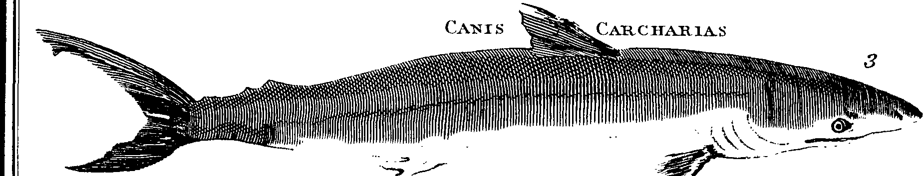088/088880010202480_3.png