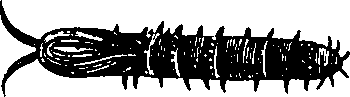 088/088880010206340_0.png