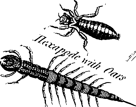 088/088880010206340_1.png