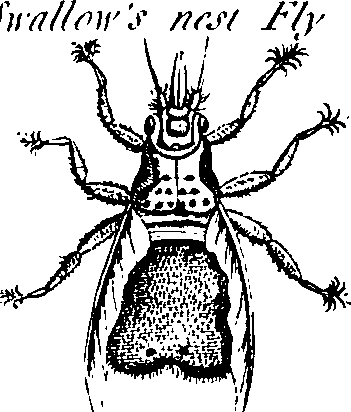 088/088880010206340_2.png