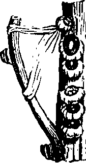 088/088880010206340_3.png