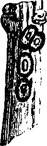 088/088880010206340_4.png