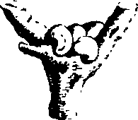088/088880010206340_5.png