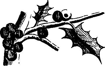 088/088880010206340_6.png