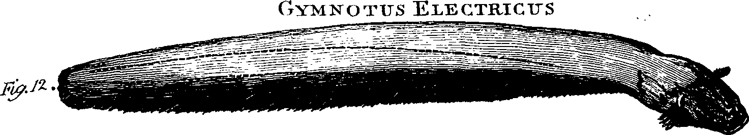 088/088890010300620_0.png