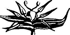 088/088890010301770_0.png
