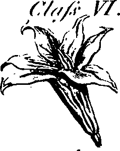 088/088890010301770_1.png