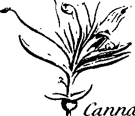 088/088890010301770_10.png