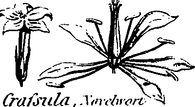 088/088890010301770_2.png