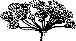 088/088890010301770_3.png