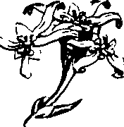 088/088890010301770_4.png