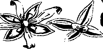 088/088890010301770_5.png