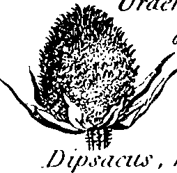 088/088890010301770_6.png